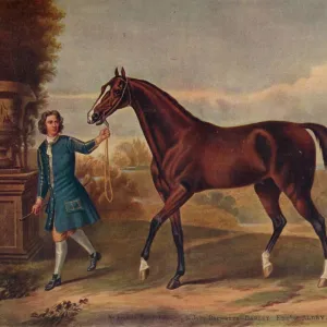 The Darley Arabian, c1720, (1922)