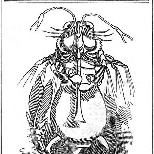 Darwinian Ancestor, 1887. Artist: George du Maurier