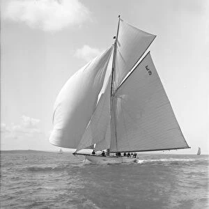 Davo III, a 12 Metre class sailing yacht, runs before the wind, 1911. Creator