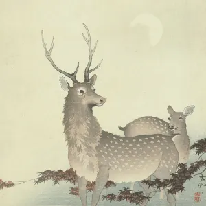 Two Deer, Between 1910 and 1920. Creator: Ohara, Koson (1877-1945)
