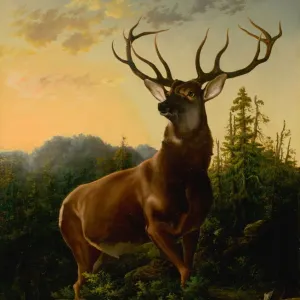 Deer in Forest Landscape, 1876. Creator: Brodszky, Sandor (1819-1901)