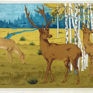 Deer, from L Animal dans la Decoration, pub. 1897. Creator: Maurice Pillard Verneuil