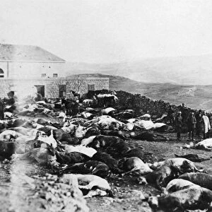 Defence of the Citadel of Rachaya, Druze rebellion, Jabal el Druze, Syria, 1925