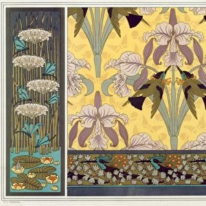 Design for wallpaper border, fabric and panel: Dragonflies; Waterlillies