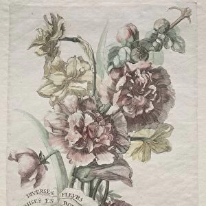 Divers fleurs mises en boucquets: No. 1 - Hollyhocks and Narcissus, c. 1670. Creator