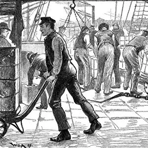 Dockers unloading tea in London Docks, 1889