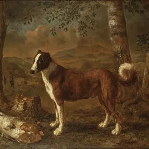 Dog and a Birch Log. Creator: Govert Dircksz Camphuysen