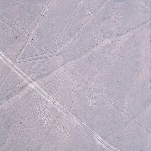 The Dog, Nazca Lines, Ica, Peru, 2015. Creator: Luis Rosendo