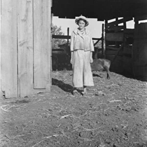 Dora Mae Tengle, sharecroppers daughter, Hale County, Alabama, 1936. Creator: Walker Evans