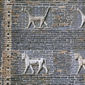 Dragons and bulls, glazed bricks, Ishtar Gate, Babylon, Iraq