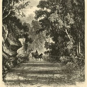 Drive along the Wissahickon, 1874. Creator: James H. Richardson