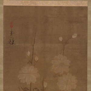 Drooping cherry branches in blossom, Edo period, mid 18th-early 19th century