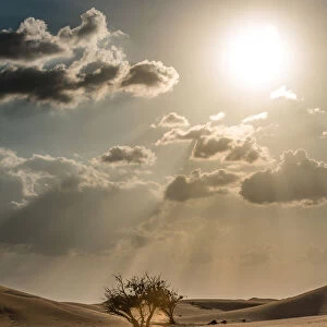 Dubai Desert. Creator: Viet Chu