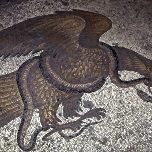Eagle fights a snake, detail of Byzantine Floor Mosaic at Great Palace, Istanbul, 6th century