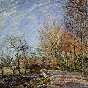 At the edge of the forest in Fontainebleau, 1885. Artist: Alfred Sisley