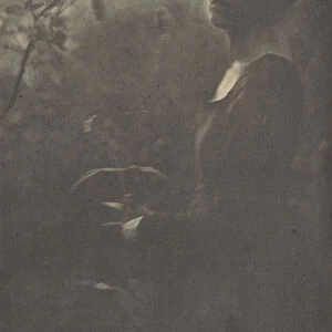 Edge of the Woods, Evening, 1900. Creator: Clarence H White
