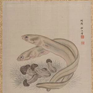Eels, ca. 1890-92. Creator: Seki Shuko