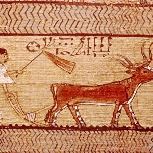 Egyptian Papyrus of Ani Ploughing, Theban Book of the Dead, c1250 BC