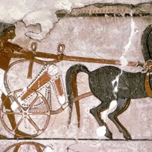 Egyptian Wallpainting from the Tomb of Nebanmun at Thebes, c1400 BC. Chariot and Attendant