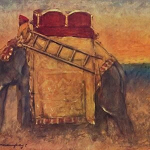 An Elephant of Central India, 1903. Artist: Mortimer L Menpes