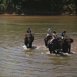 Elephant cooling off in a river. Artist: CM Dixon