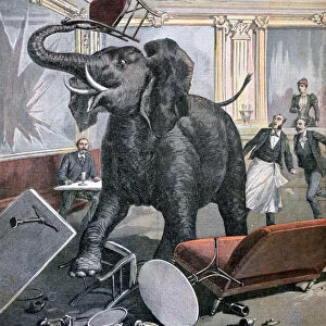 A elephant in the Pre-Catalan Cafe, Toulouse, France, 1891. Artist: Henri Meyer