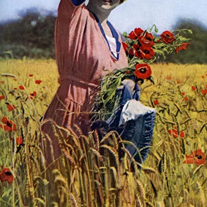 The English Rose, c1922. Artist: Horace Walter Nicholls