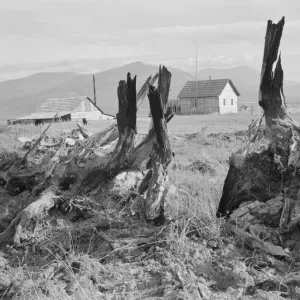 Evanson new home, looking across land... Priest River Valley, Bonner County, Idaho, 1939. Creator: Dorothea Lange