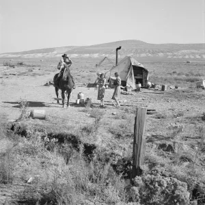 Fairbanks home, Willow Creek area, Malheur County, Oregon, 1939. Creator: Dorothea Lange