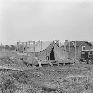 Family living in tent while building the house around them, near Klamath Falls, Oregon, 1939. Creator: Dorothea Lange