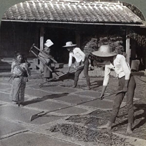 Farmers with bamboo rakes spreading millet on mats to dry for winter, near Yokohama, Japan, 1904. Artist: Underwood & Underwood
