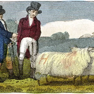 Farmers discussing Dishley (New Leicester) sheep, 1822