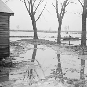 Farmyard covered with flood waters near Ridgeley, Tennessee, 1937. Creator: Walker Evans