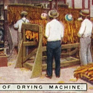 Feed End of Drying Machine, 1926