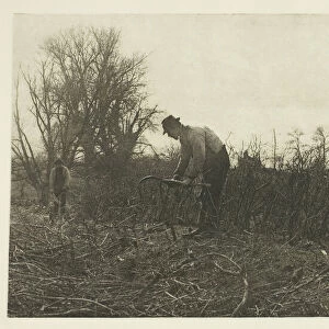 Fencing in Suffolk, c. 1883 / 87, printed 1888. Creator: Peter Henry Emerson