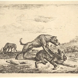 Fighting Dogs, from Different Animals, 1657. Creator: Adriaen van de Velde