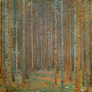 Fir Forest I, 1901. Artist: Klimt, Gustav (1862-1918)