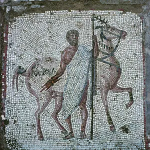 Floor mosaic from a Roman villa