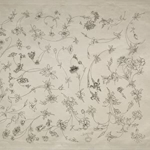 Flower designs for plates and borders (no. 14), 1872. Creator: Felix Bracquemond (French