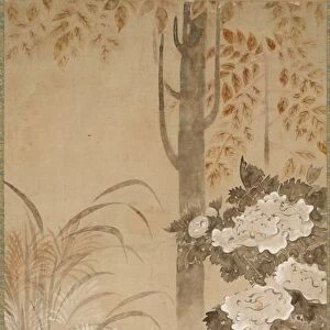 Flowers and Foliage of Autumn, mid 1700s. Creator: Tatebayashi Kagei (Japanese)