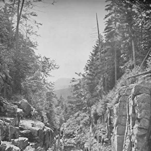 The Flume, Franconia (White) Mountains, N. H. c1897. Creator: Unknown