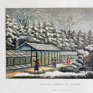 Forcing Garden in Winter, 1816. Artist: Humphry Repton