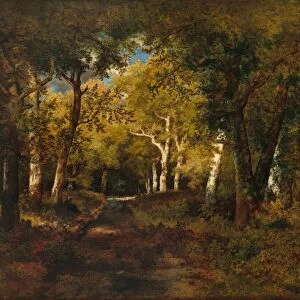 In the Forest, 1874. Creator: Narcisse Virgile Diaz de la Pena