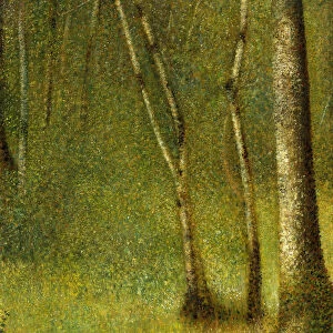 The Forest at Pontaubert, 1881. Creator: Georges-Pierre Seurat