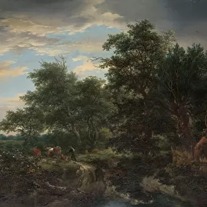 Forest scene, 1653. Creator: Jacob van Ruisdael