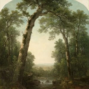 Forest Stream with Vista, 1872. Creator: Asher Brown Durand (American, 1796-1886)