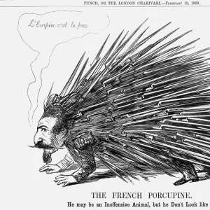 The French Porcupine, 1859