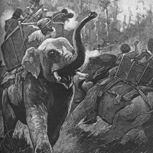 The Frightened Elephants Rushed Back Crashing Through The Forest, 1895, (1902). Artist: Stanley Llewellyn Wood