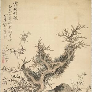Frosted Branches and Dwarf Bamboo, 1847. Creator: Tsubaki Chinzan (Japanese, 1801-1854)