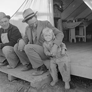 FSA migratory labor camp, Brawley, California, 1939. Creator: Dorothea Lange